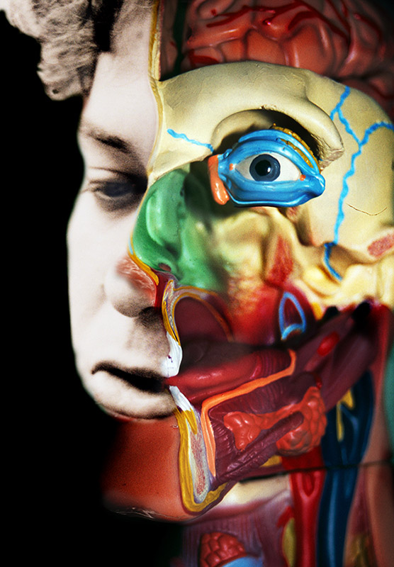 RafaelSolo-BajoPiel7 Estructuras corporales complejas