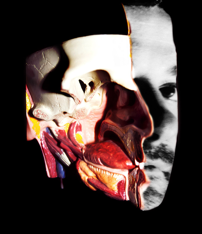 RafaelSolo-BajoPiel8 Estructuras corporales complejas