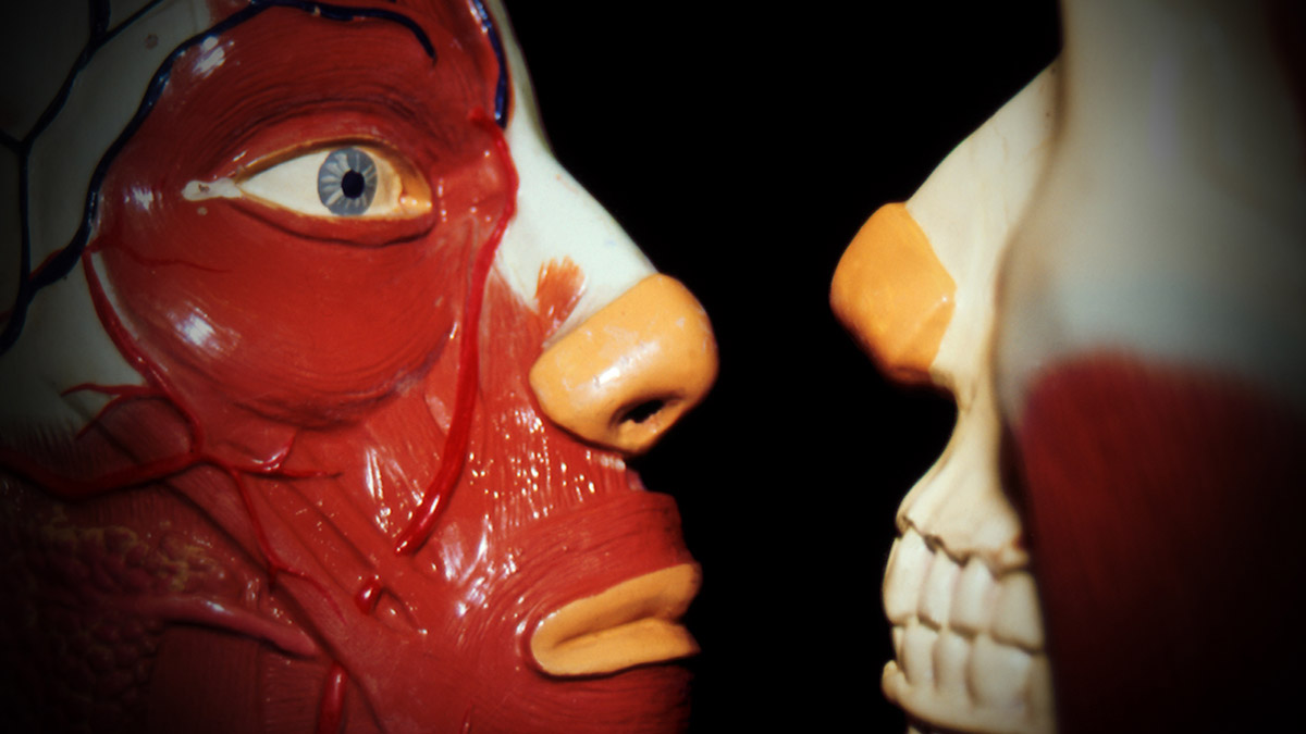 RafaelSolo-BajoPiel9 Estructuras corporales complejas