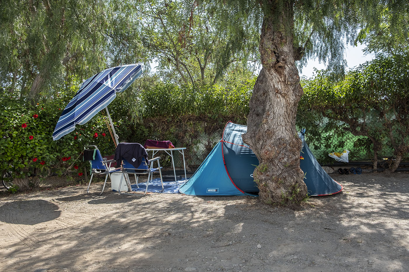 RafaelSolo-Hogar004 RafaelSolo-Hogar004