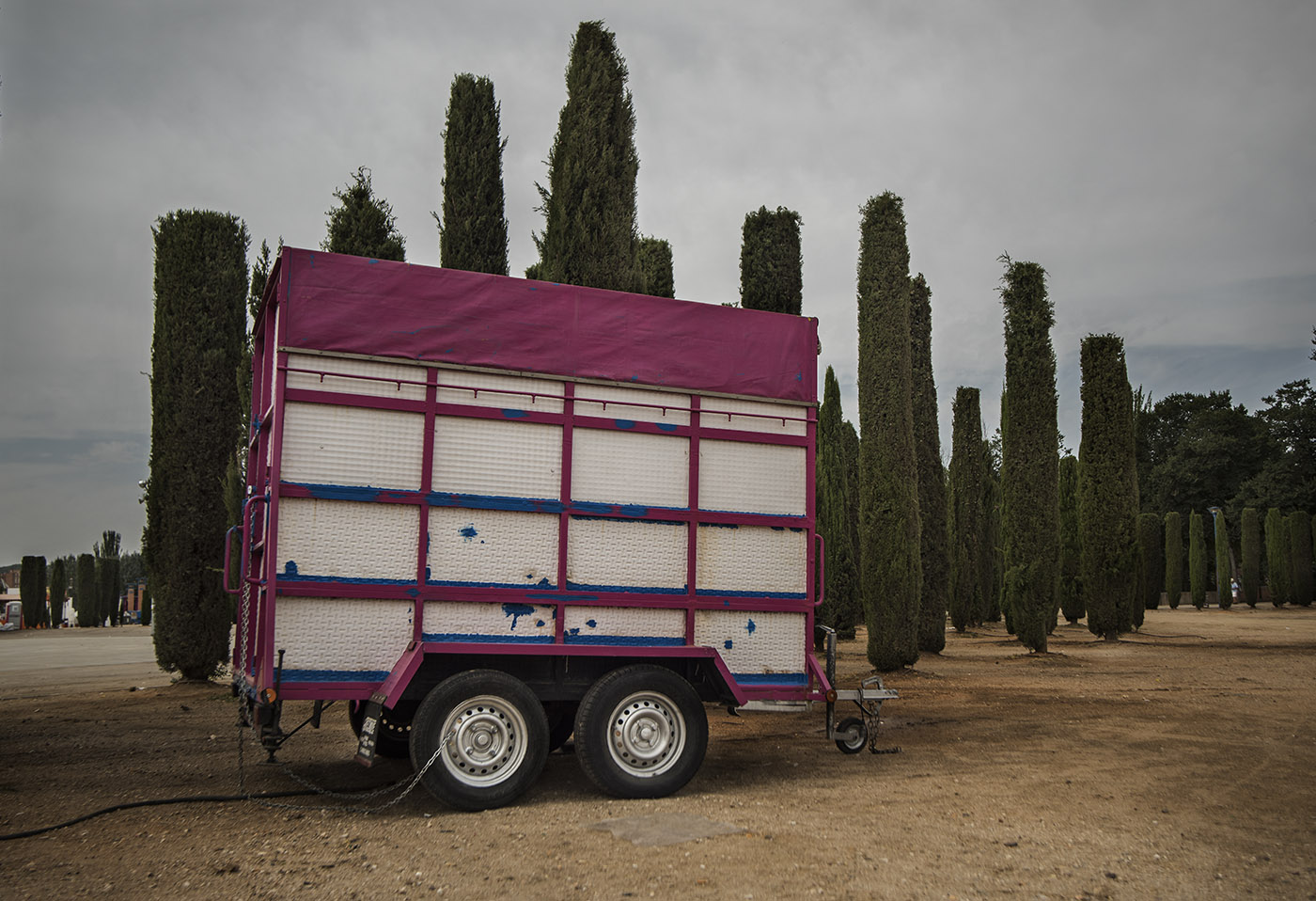 RafaelSolo-Septiembre001 RafaelSolo-Septiembre001