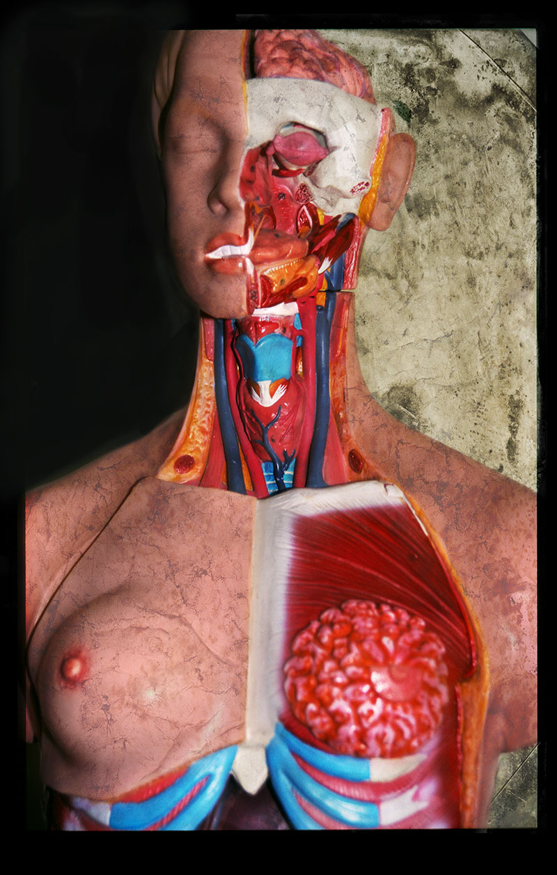 RafaelSolo-myGirlfriend1 RafaelSolo-myGirlfriend1