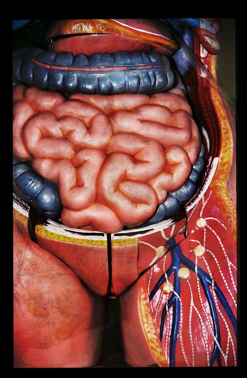 RafaelSolo-myGirlfriend2 RafaelSolo-myGirlfriend2